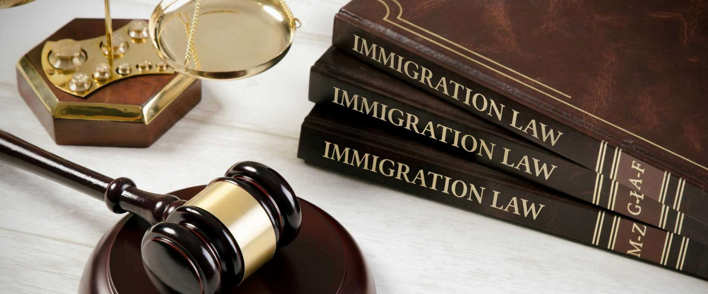 Immigration and Naturalization Law
